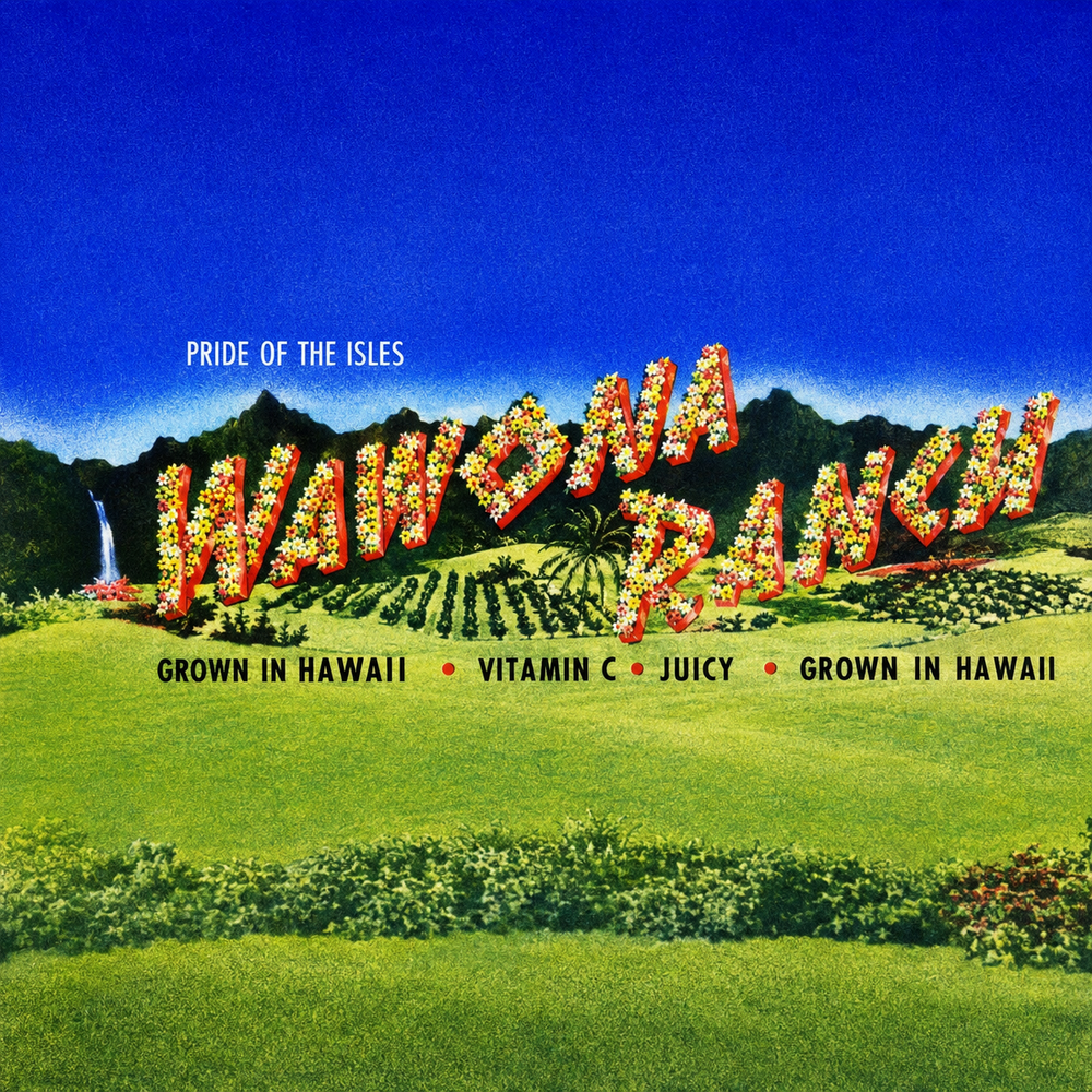 A colorful graphic poster-style image showing a bright blue sky, green hills, and large decorative text reading 'HAWAIIAN BAKERY' made of flowers. Smaller text says 'PRIDE OF THE ISLES' and 'GROWN IN HAWAII • VITAMIN C • JUICY • GROWN IN HAWAII'.