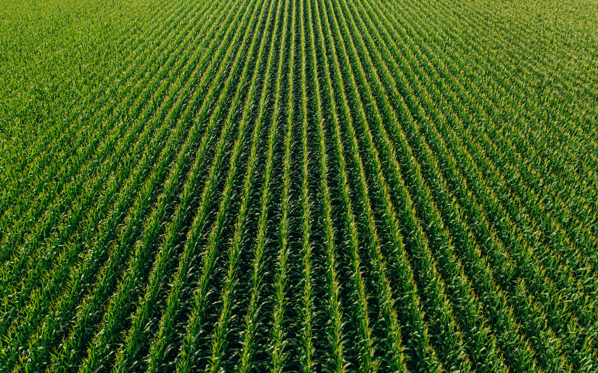 Farm green